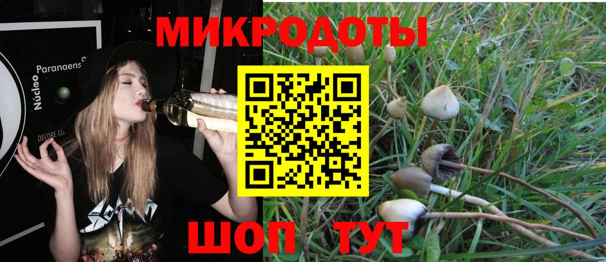 Галлюциногенные грибы Psilocybine cubensis  Галлюциногенные грибы ЛСД  Вход с VPN  Тольятти 