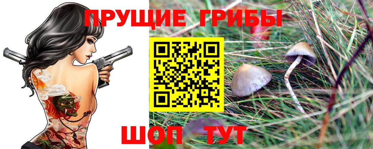 Галлюциногенные грибы Magic Shrooms Тольятти